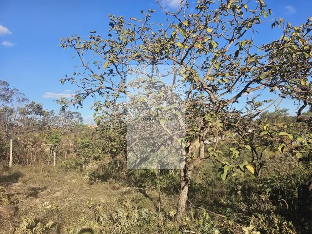 Imagem 2: Oportunidade única: Terreno à venda em Juatuba-MG, bairro Samambaia II, com 360m² de