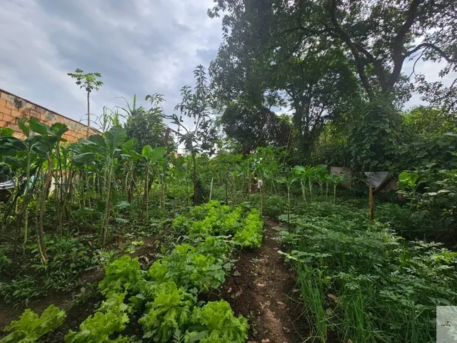 Imagem: Terreno à venda em Juatuba-MG, bairro Satélite