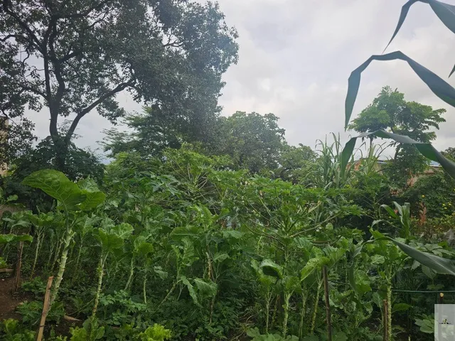 Imagem 4: Terreno à venda em Juatuba-MG, bairro Satélite, 360 m² de área!