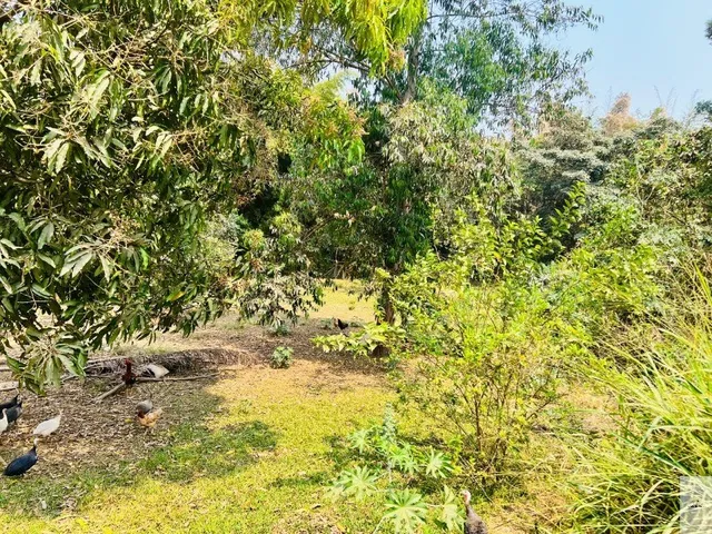 Imagem: TERRENO RESIDENCIAL em JUATUBA - MG, Satélite