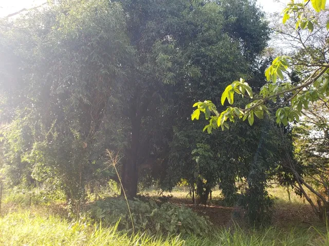 Imagem 5: Sitio com linda vista e ótima localidadeem Juatuba, bairro, Alto da Boa Vista!