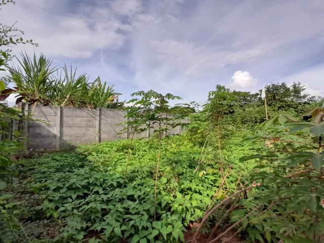 Imagem 6: Excelente lote 200 m² no Bairro Cidade Nova II, lotes planos Bairro Cidade Nova II