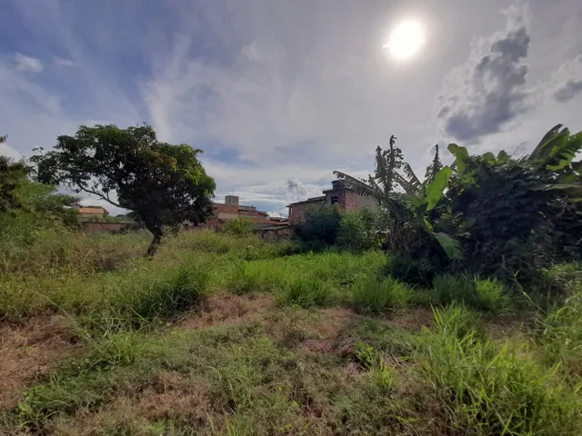 Imagem 11: Excelente lote 200 m² no Bairro Cidade Nova II, lotes planos Bairro Cidade Nova II