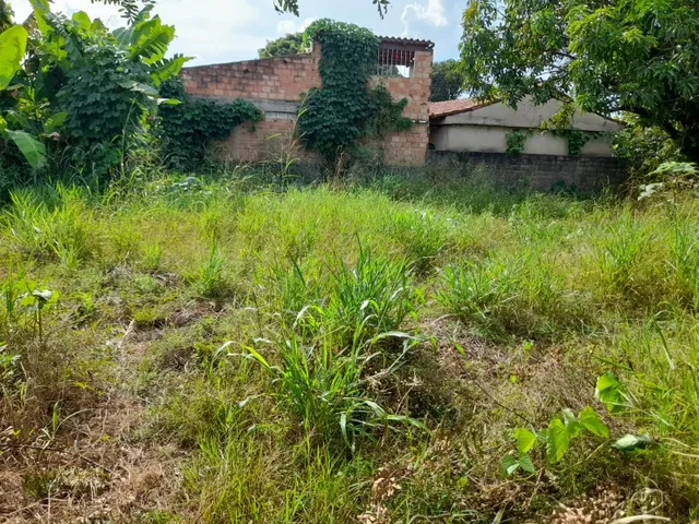Imagem 9: Excelente lote 200 m² no Bairro Cidade Nova II, lotes planos Bairro Cidade Nova II