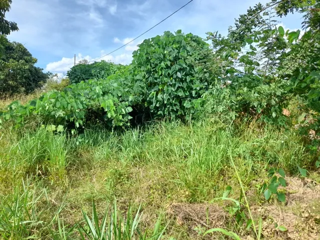 Imagem 14: Excelente lote 200 m² no Bairro Cidade Nova II, lotes planos Bairro Cidade Nova II