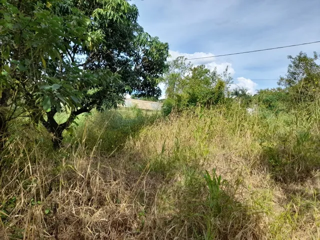 Imagem 16: Excelente lote 200 m² no Bairro Cidade Nova II, lotes planos Bairro Cidade Nova II