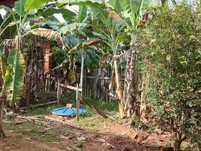 Imagem: A casa possui 2 Dormitórios, 1 Banheiro, 1 Vaga na