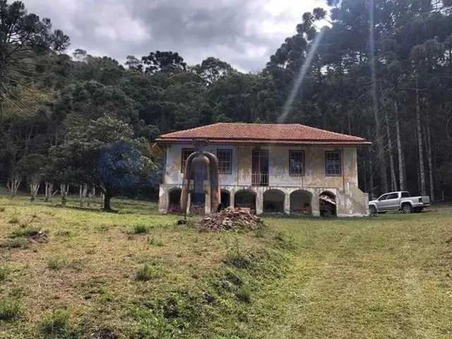 Imagem: Fazenda, 493 Hectares