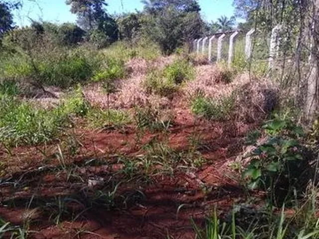 Imagem: Chácara Novo Horizonte
