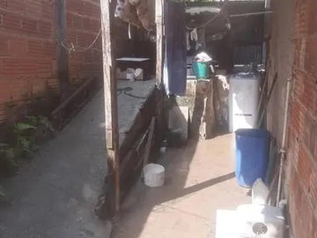 Imagem: Mini Sítio Só 55 Mil