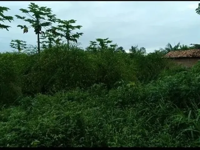 Imagem: Terreno