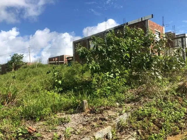 Imagem: Repasso Esse Terreno 8 por 20