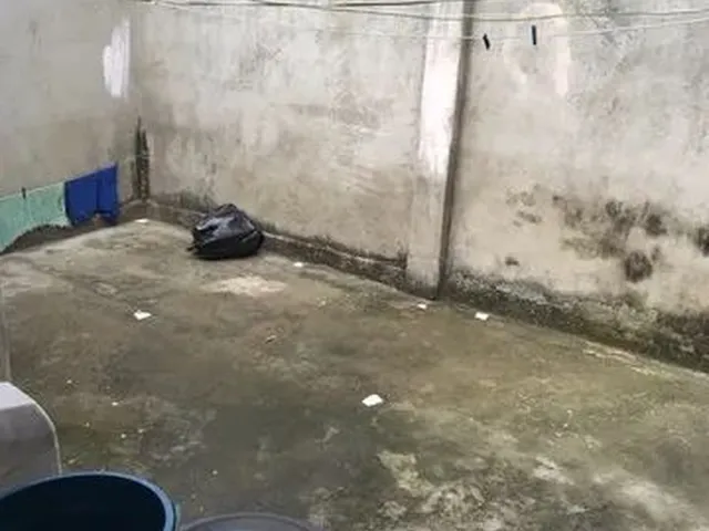 Imagem: Imóveis