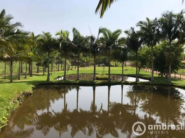 Imagem: Lindo Sitio em Camboriú 100 Plano - Aceita
