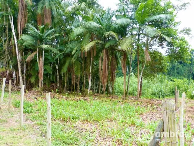 Imagem: Amplo terreno pra chácara no Centro de