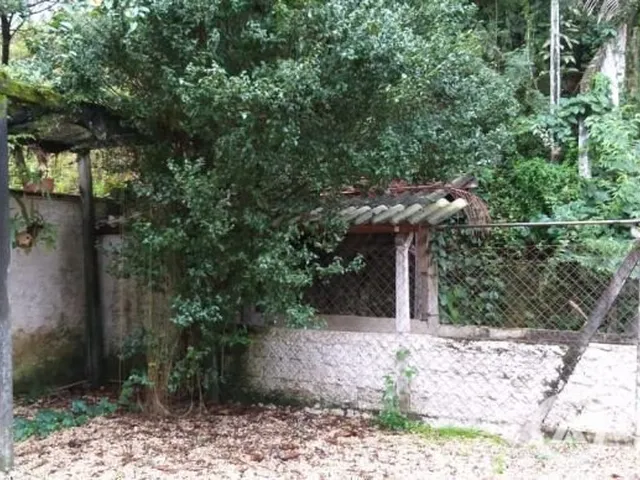 Imagem 15: Casa Comercial - santa Terezinha