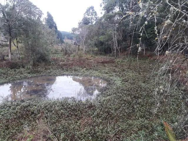 Imagem 3: Vendo 4 Litros de Terreno em Agudos do Sul