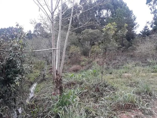Imagem 4: Vendo 4 Litros de Terreno em Agudos do Sul