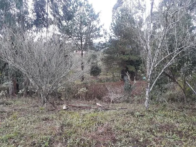 Imagem 2: Vendo 4 Litros de Terreno em Agudos do Sul