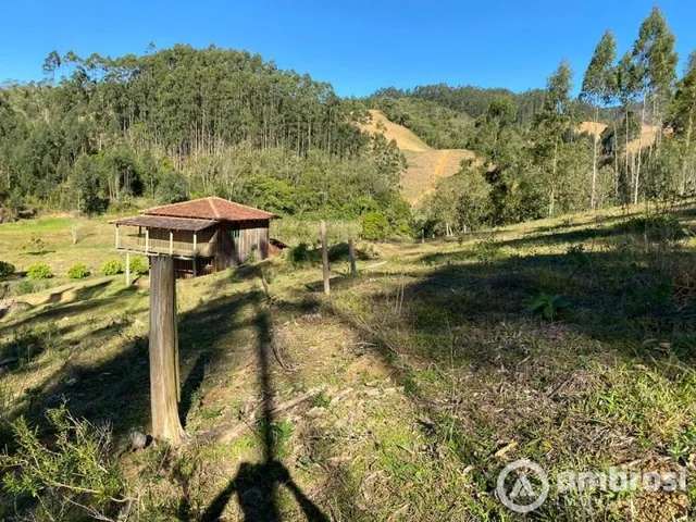 Imagem 15: Chácara linda em Leoberto Leal