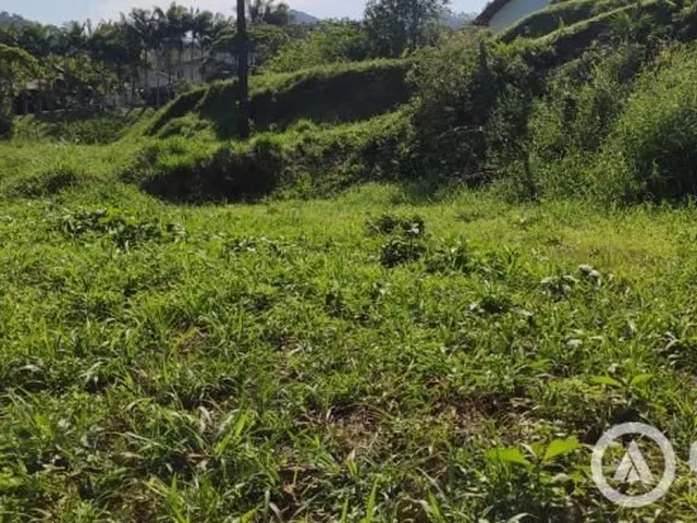 Imagem 4: Ótimo Terreno no Lajeado Baixo