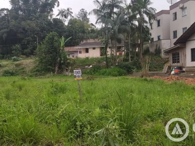 Imagem: Terreno Pronto para Construir - Galpão