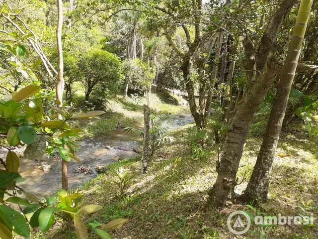 Imagem: Sítio com água em abundância
