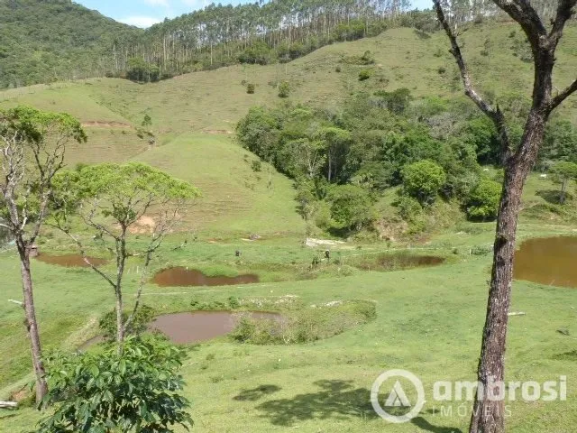 Imagem 6: Imóvel diferenciado - Grande área de pastagem - 8 lagoas e 4 nascentes