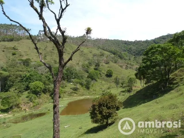 Imagem 5: Imóvel diferenciado - Grande área de pastagem - 8 lagoas e 4 nascentes