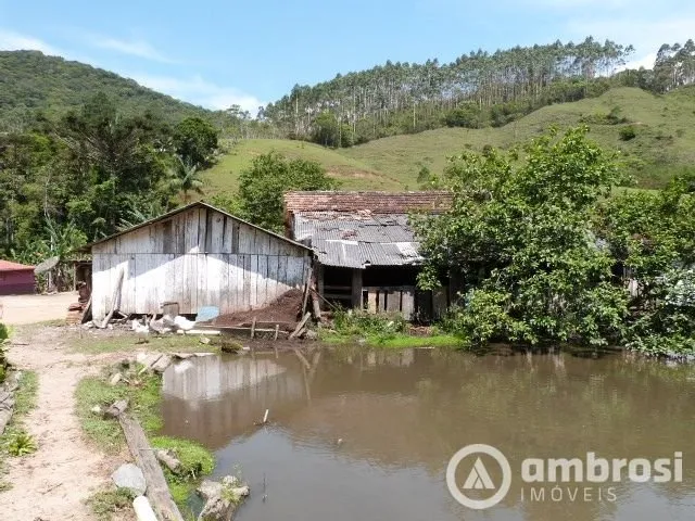 Imagem 13: Imóvel diferenciado - Grande área de pastagem - 8 lagoas e 4 nascentes