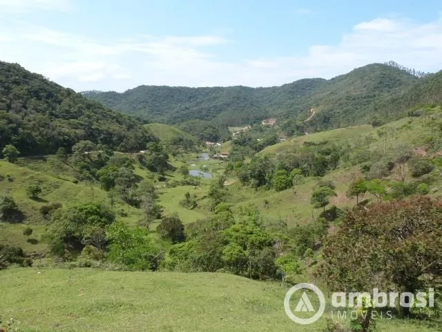 Imagem 7: Imóvel diferenciado - Grande área de pastagem - 8 lagoas e 4 nascentes