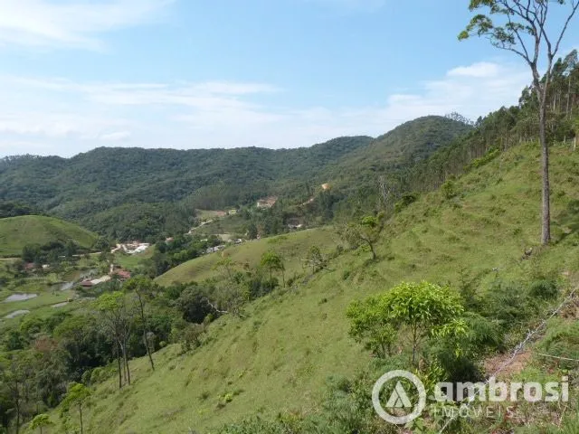 Imagem 10: Imóvel diferenciado - Grande área de pastagem - 8 lagoas e 4 nascentes