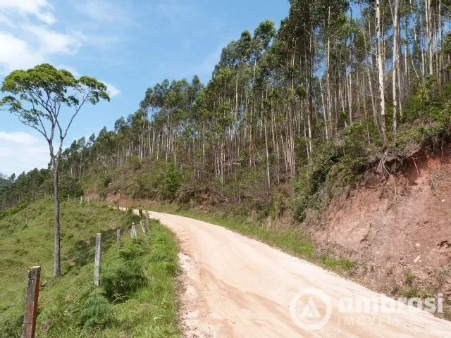 Imagem 14: Imóvel diferenciado - Grande área de pastagem - 8 lagoas e 4 nascentes