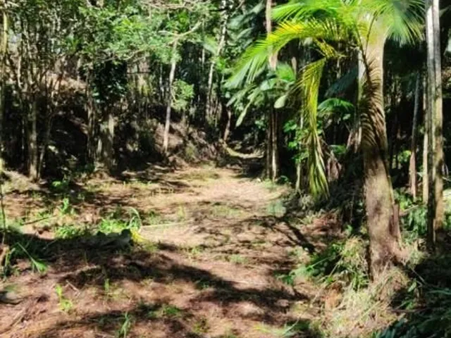 Imagem: Amplo terreno a 15 km de Brusque com 187.000,00