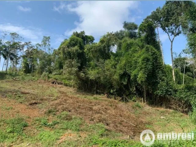 Imagem: Terreno Bairro Jardim Maluche 585M²