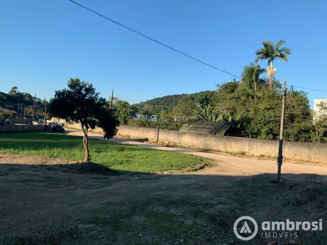 Imagem 4: Amplo Terreno Ideal Para Área Industrial - Brusque