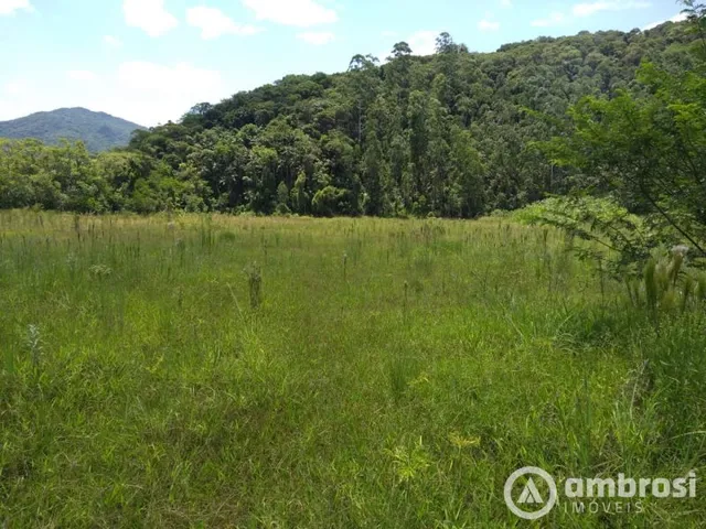 Imagem 5: Terreno Industrial com Mais de 27 Mil M²