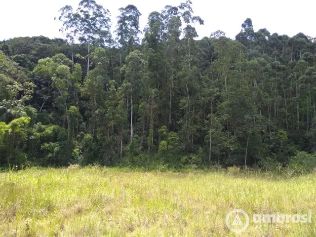 Imagem 8: Terreno Industrial com Mais de 27 Mil M²