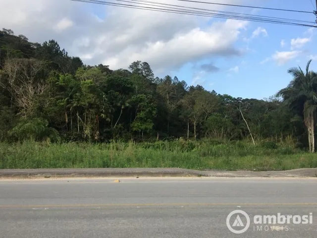 Imagem 6: Belíssimo terreno no Aimoré em Guabiruba