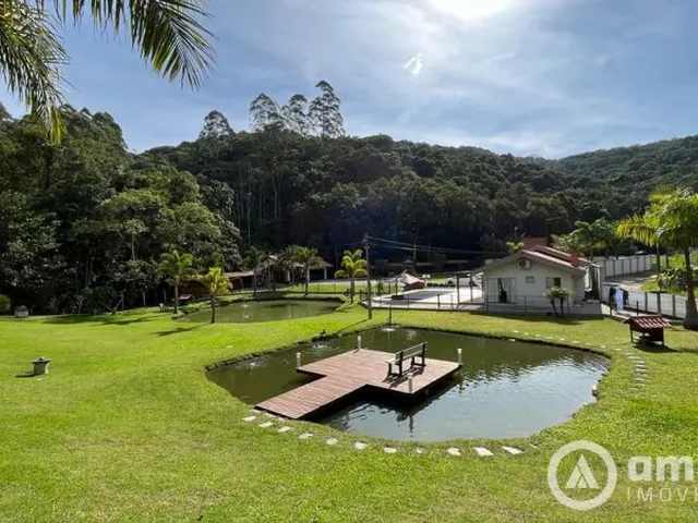 Imagem: Chácara perfeita para moradia!