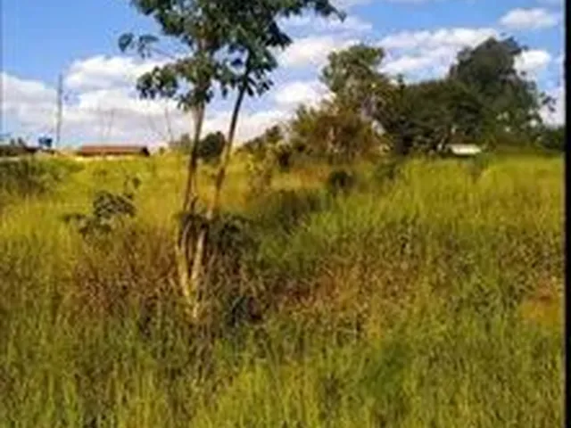 Imagem: Lotes em Barbacena - 2 Lotes no Bairro Nova