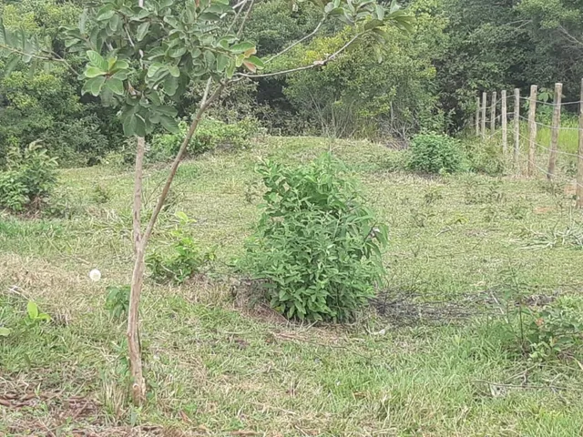 Imagem 2: CHACARA RURAL em CARIACICA - ES, VILA MERLO