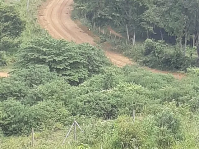 Imagem 8: CHACARA RURAL em CARIACICA - ES, VILA MERLO