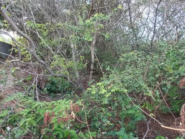 Imagem 8: TERRENO EM GENIPABÚ, PRÓXIMO Á PRAIA