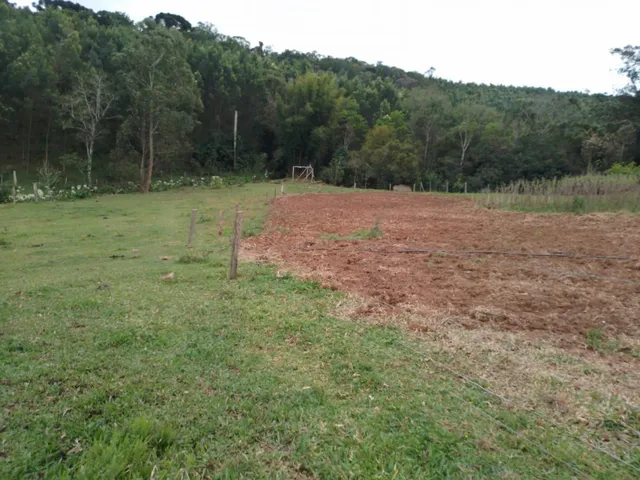 Imagem 7: Sitio-Chácara-Área Rural com 3 Dormitorio(s) localizado(a) no bairro Glorinha em