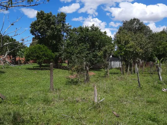 Imagem 5: Sitio-Chácara-Área Rural com 3 Dormitorio(s) localizado(a) no bairro em GRAVATAI