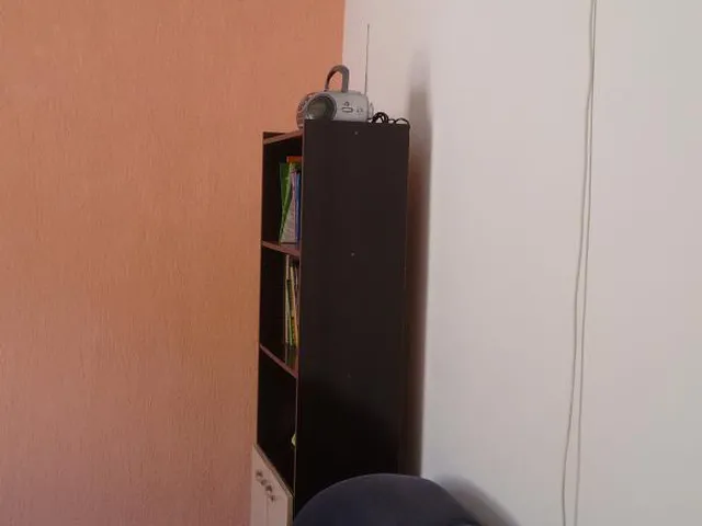 Imagem 4: Casas - Sobrados ( novos e usados) com 2 Dormitorio(s) localizado(a) no bairro Parque da