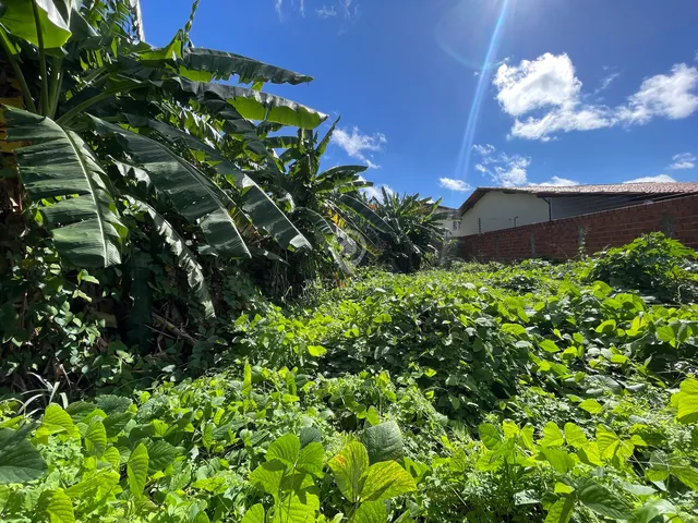 Imagem 5: TERRENO DE 450m² AO LADO DA UFPI