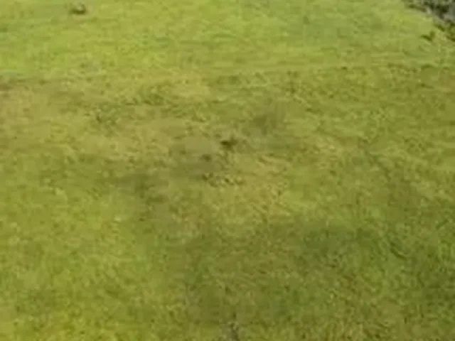 Imagem: Fazenda no Sul do Pará