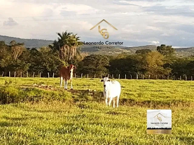 Imagem: Leonardo Corretor Vende 12 Hectare de R$
